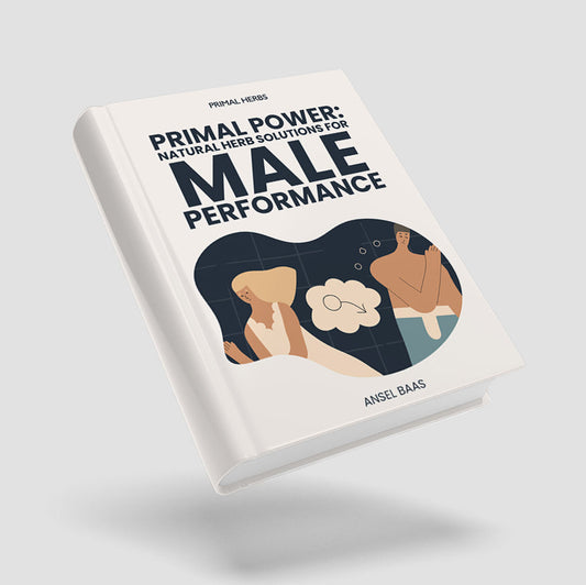 De Krachtige Man [E-BOOK]